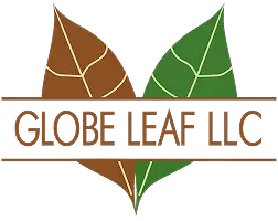 Globe Leaf  Logo
